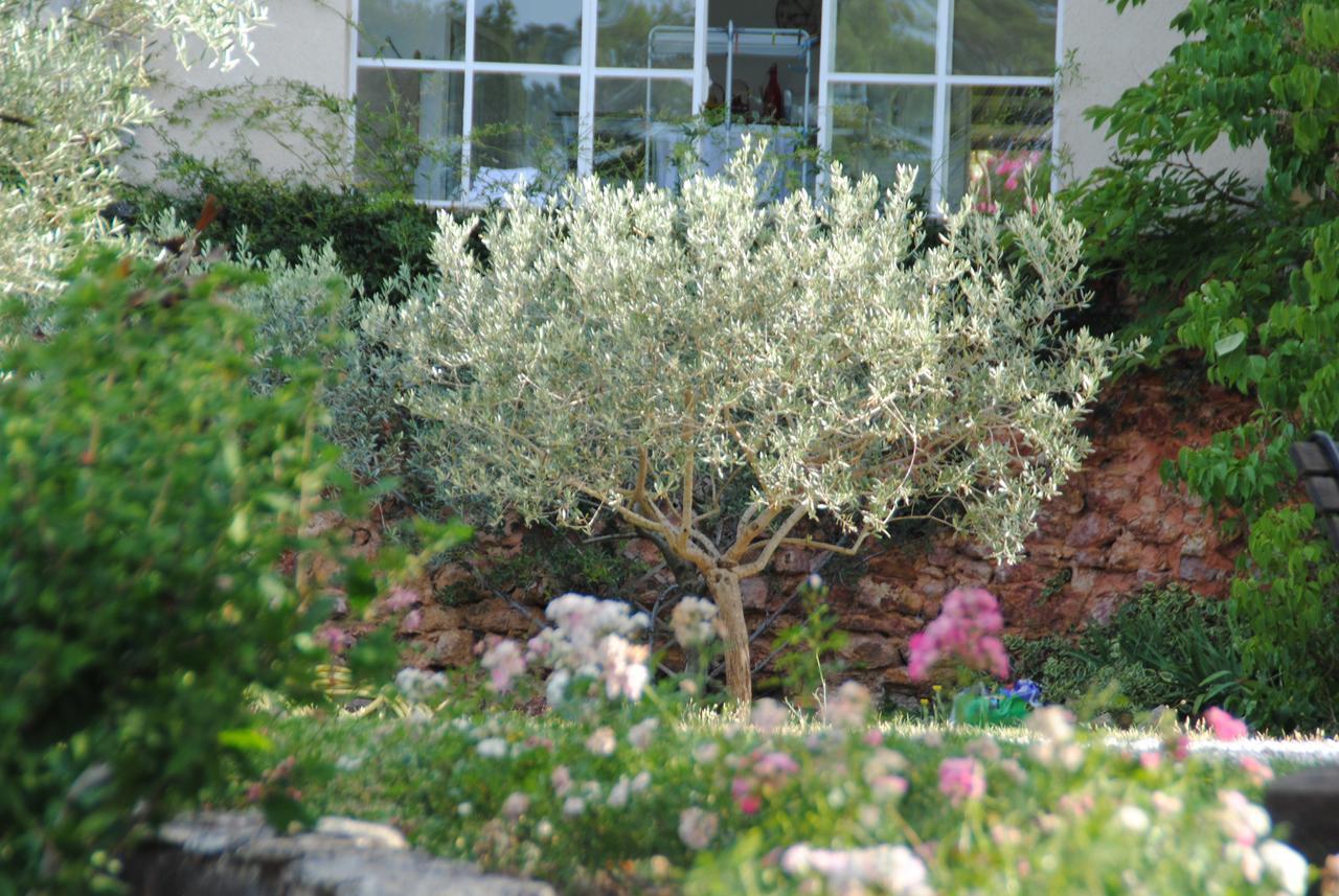 B&B La Badelle Gordes Exteriér fotografie